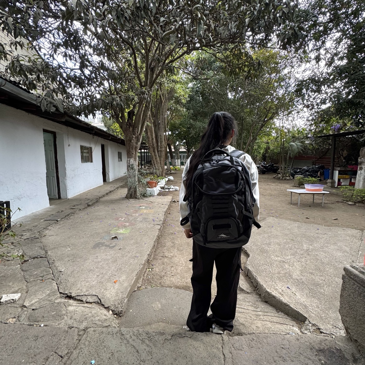 Education with purpose